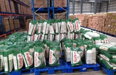 Damaged Stock of Rice